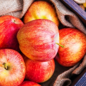 Una manzana al día aleja al doctor de tu vida